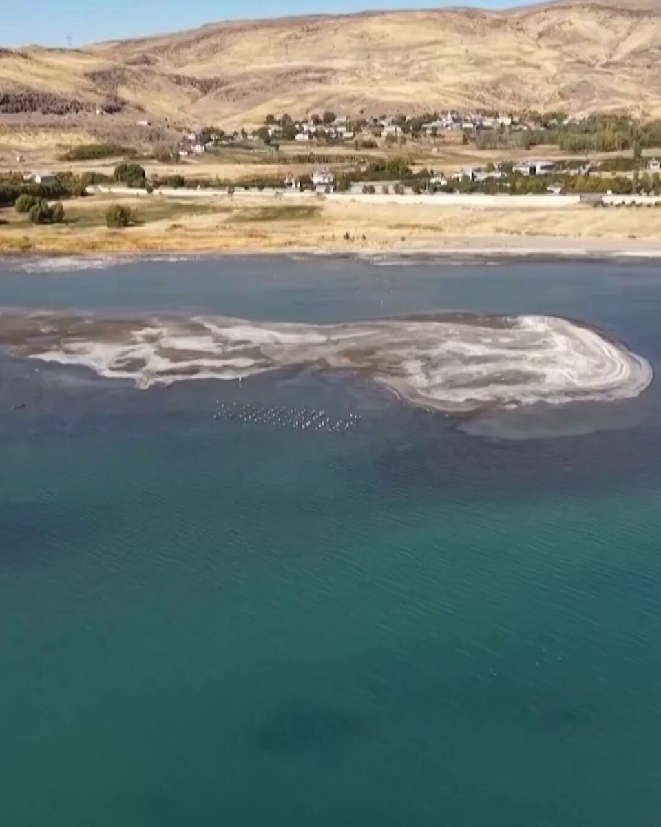 Van Gölü'ndeki Çekilme Asırlık İskeleyi Ortaya Çıkardı