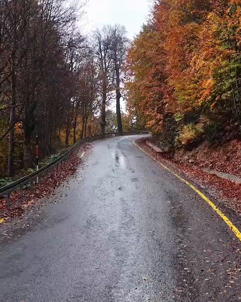 Kartepe Ormanları Sonbahar Renkleriyle Büyülüyor