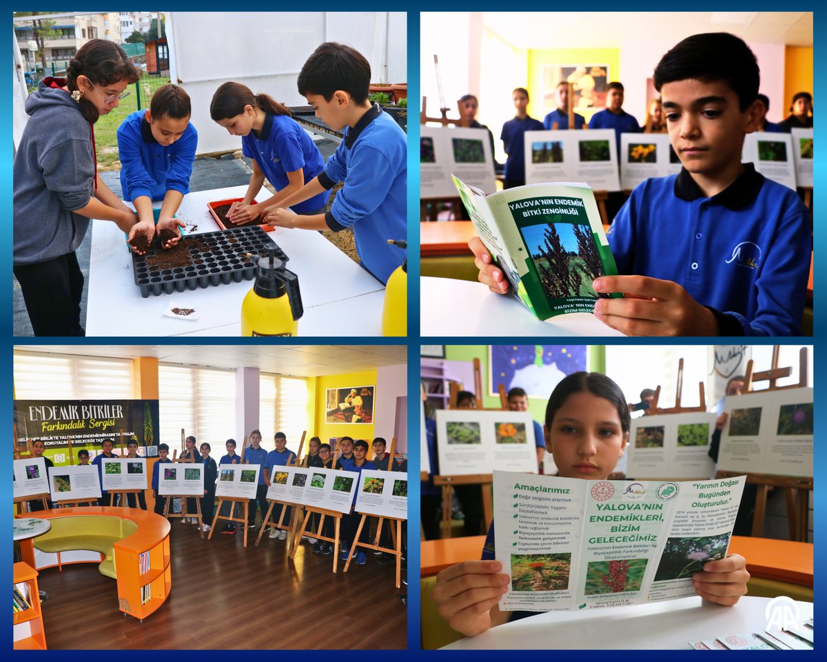 Yalova'dan Endemik Bitki Projesi: Ortaokul Öğrencileri 29 Endemik Türü Geleceğe Taşıyor