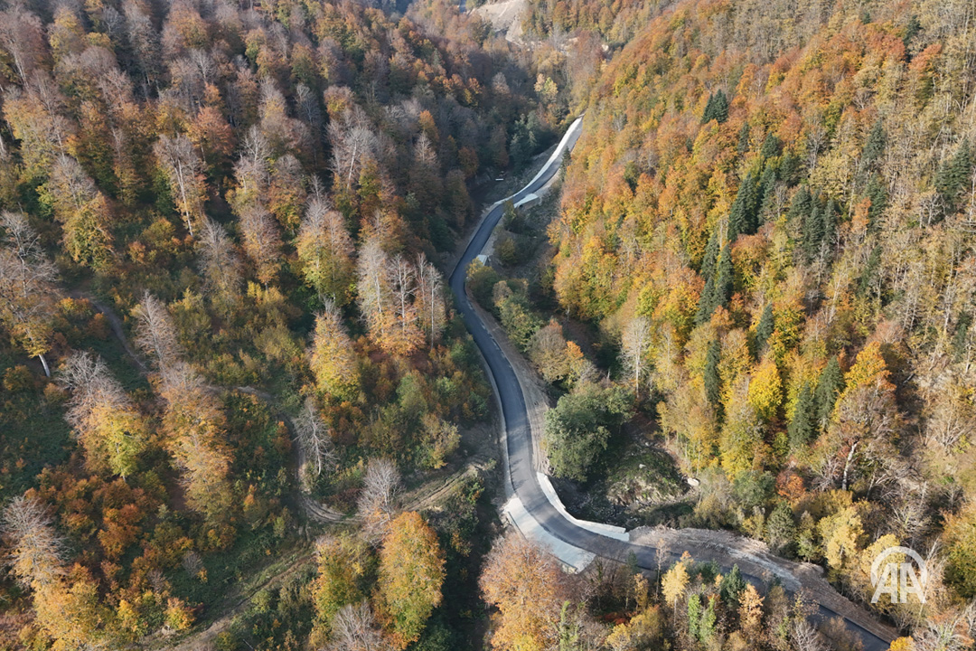 Sonbahar Renkleri Türkeli Ormanlarını Büyülü Bir Manzaraya Dönüştürdü