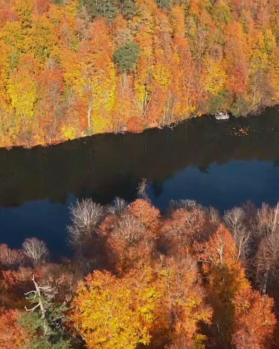 Sonbaharın Renk Cümbüşü: Yedigöller Milli Parkı Ara Tatilde Ziyaretçi Akınına Uğruyor