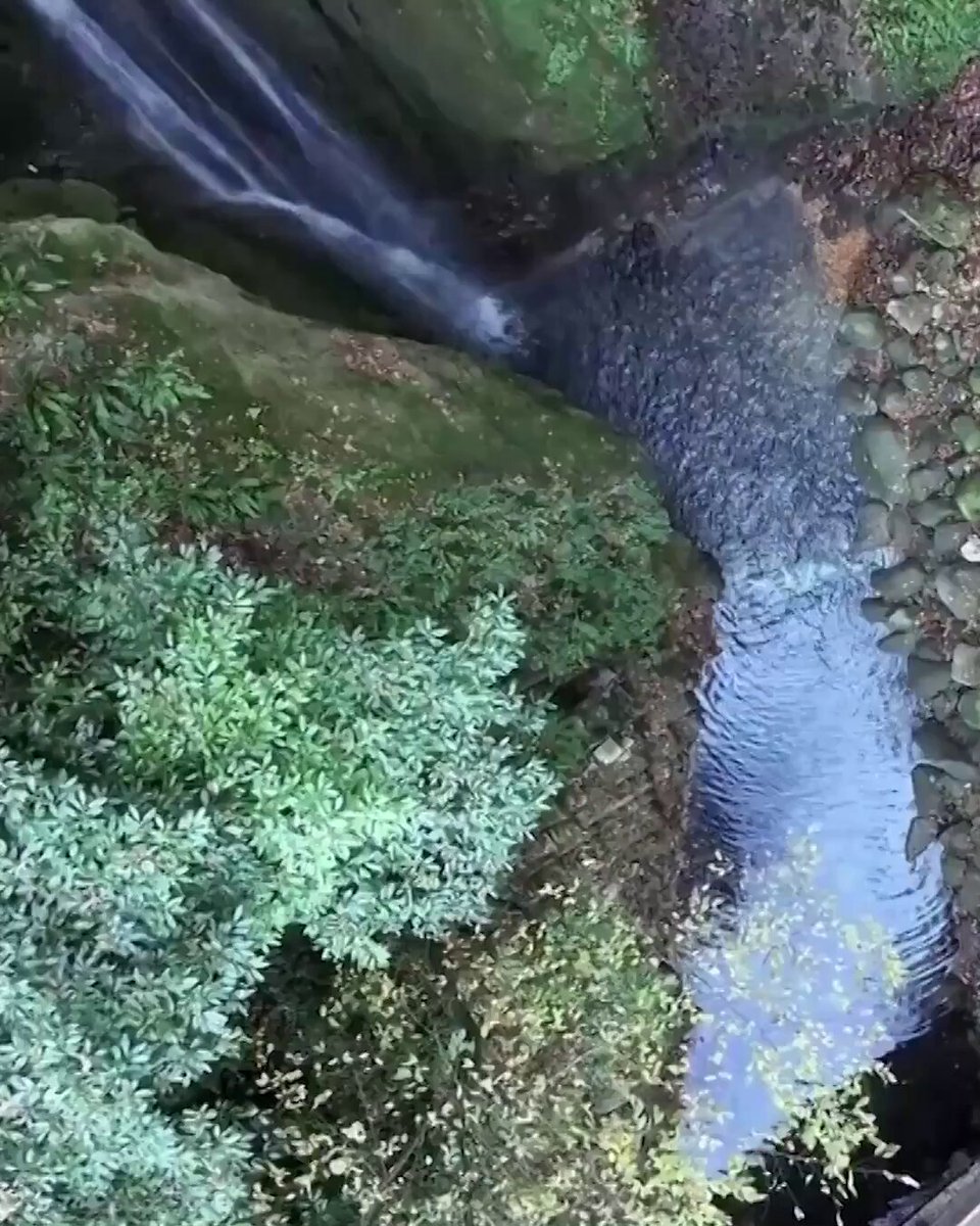 Akçakoca'da Aktaş Şelalesi Sonbahar Güzelliğine Büründü