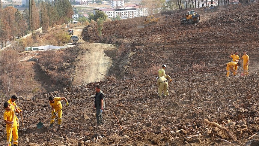 Hatay ve Kilis'te 11 Kasım'da 44 Bin 50 Fidan Toprakla Buluşacak