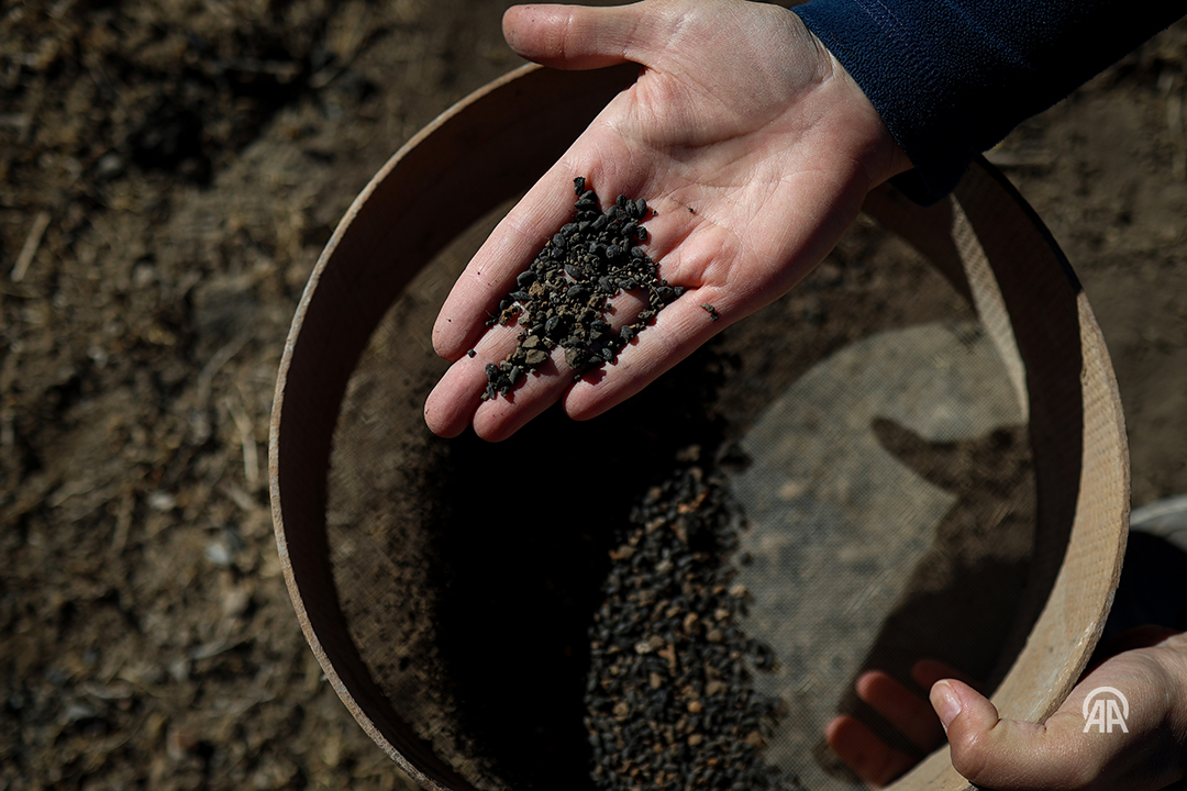 Van'da 5 Bin Yıllık Arpa Taneleri Keşfedildi