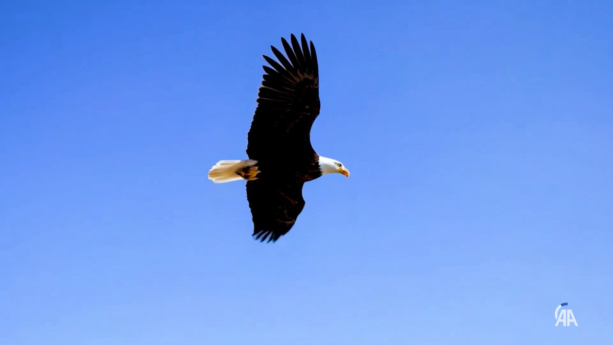 Adıyaman'da 350 Bininci Konut Teslim Töreni Cumhurbaşkanı Erdoğan'ın Katılımıyla Yapılacak