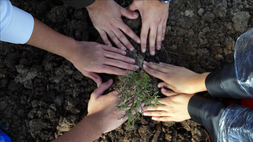 11 Kasım'da Fidan Dikiminde Rekor Katılım
