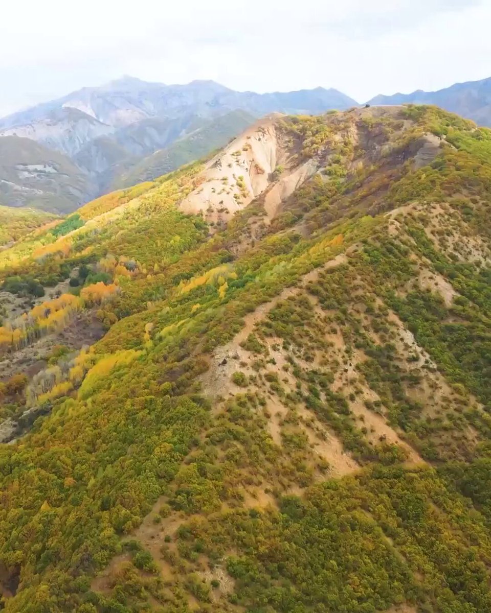 Tunceli'nin Salördek Ormanları Sonbaharın Renk Cümbetini Sergiliyor
