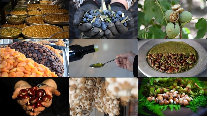 AB Tescilli Türk Ürünleri Küresel Pazarda Yükselişte