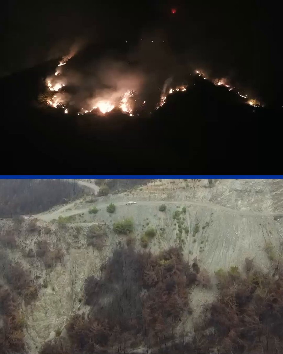 Hatay'da Yanan Ormanlar, Yangına Dirençli Türlerle Yeniden Yeşillenecek