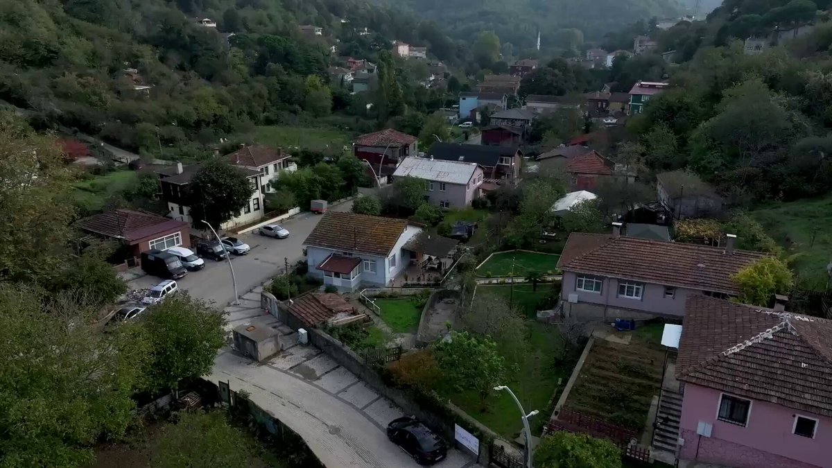 Beykoz'da Doğal Yaşam ve Arıcılık: İstanbul'un Organik Bal Üretim Merkezi