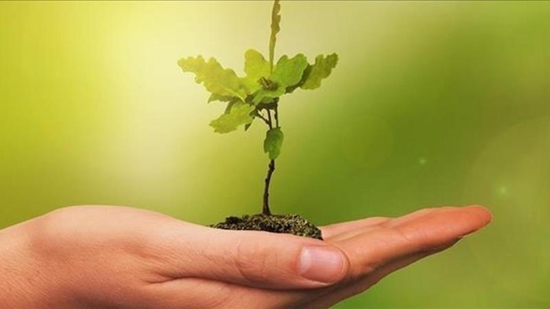 COP30'da Yeşil Sanayileşme Öncelikli Gündem Oldu: İklim Mücadelesinde Yeni Deklarasyon