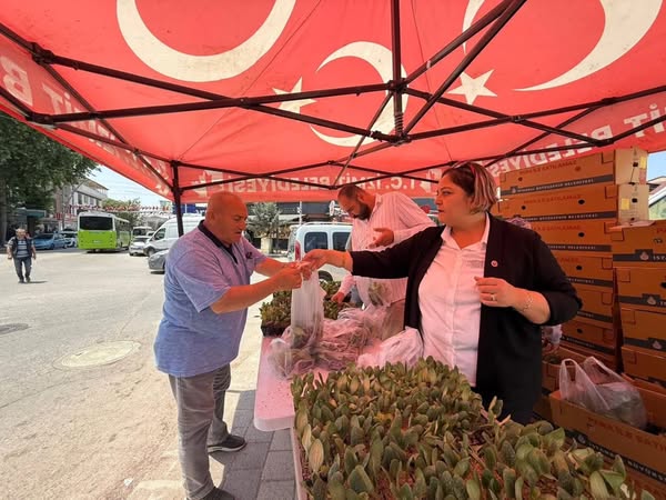 İzmit Belediyesi Tarıma Destek Projesiyle Üreticilere Fideler Dağıttı