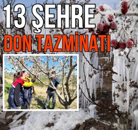 Zirai Don Vurduğu 13 İlde Çiftçi Tazminat Talebiyle Sahada