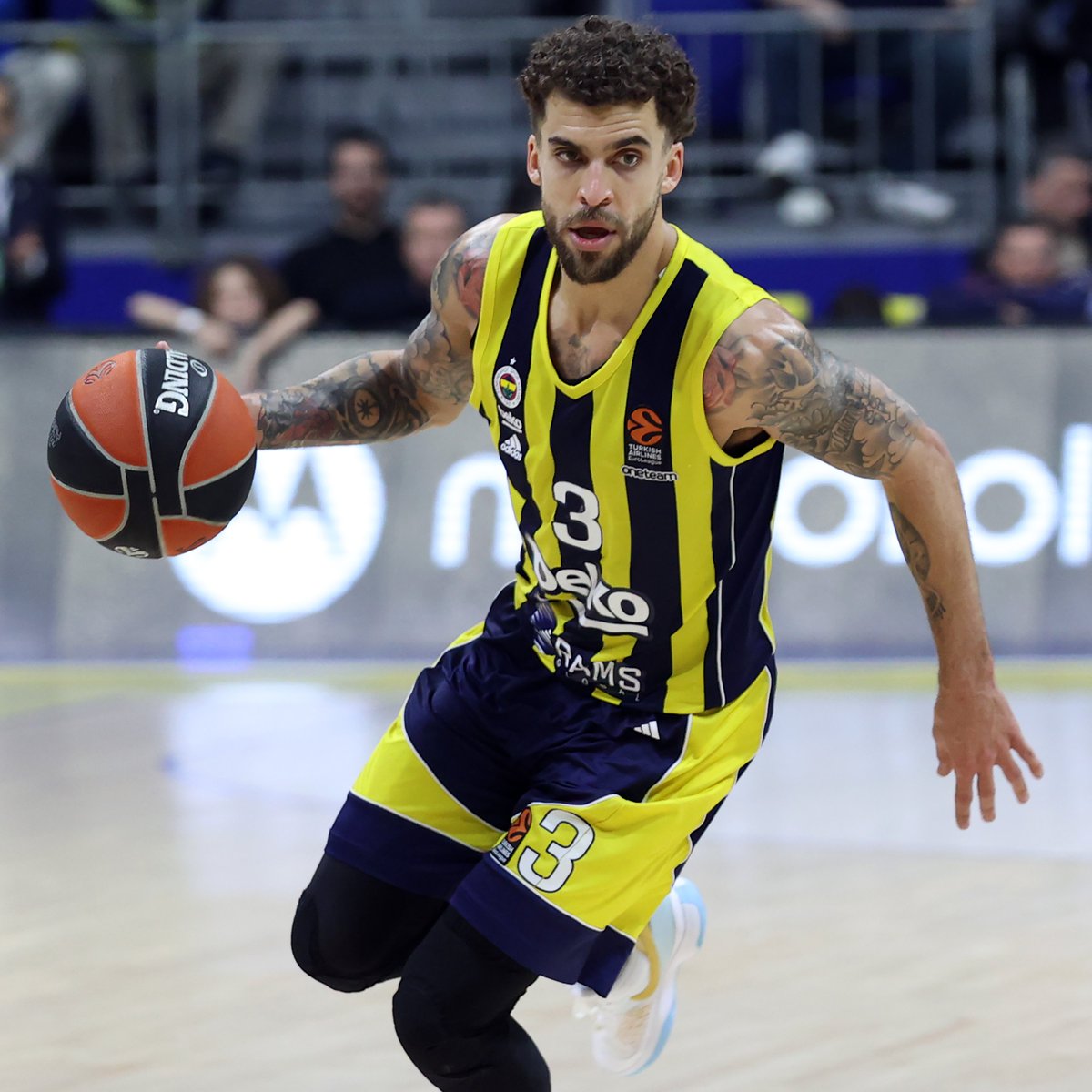 Fenerbahçe Beko, Scottie Wilbekin ile Yeni Sözleşme İmzaladı