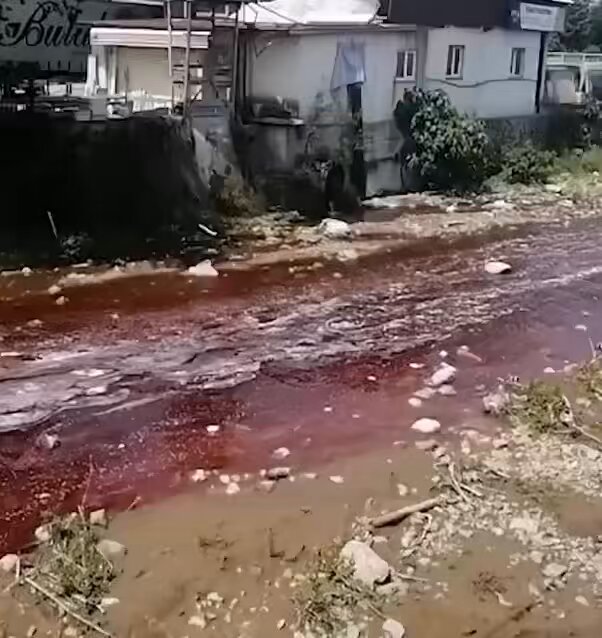 Rize'de Dere Kurban Kanları Sebebiyle Kırmızıya Boyandı