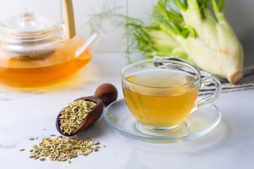 İştahsızlığa Ne İyi Gelir? Doğal Yöntemlerle İştah Açma Yolları