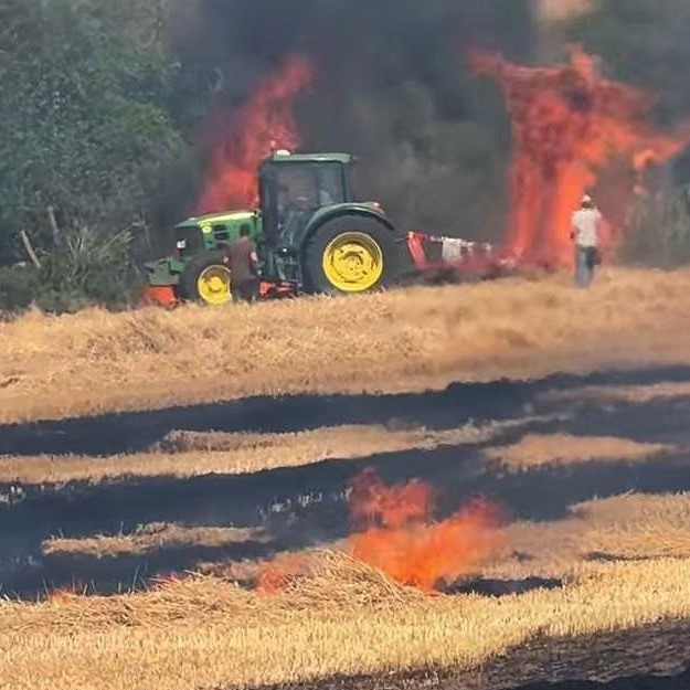 Trakya'da Yangın Felaketi: 2 Bin 750 Dekar Tarım Alanı Küle Dönüştü