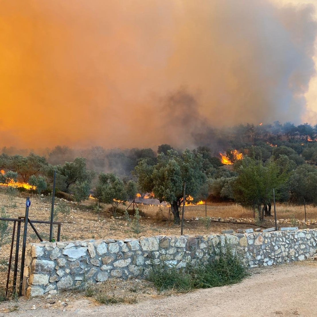İzmir Aliağa'da Orman Yangını 10 Saattir Söndürülmeye Çalışılıyor