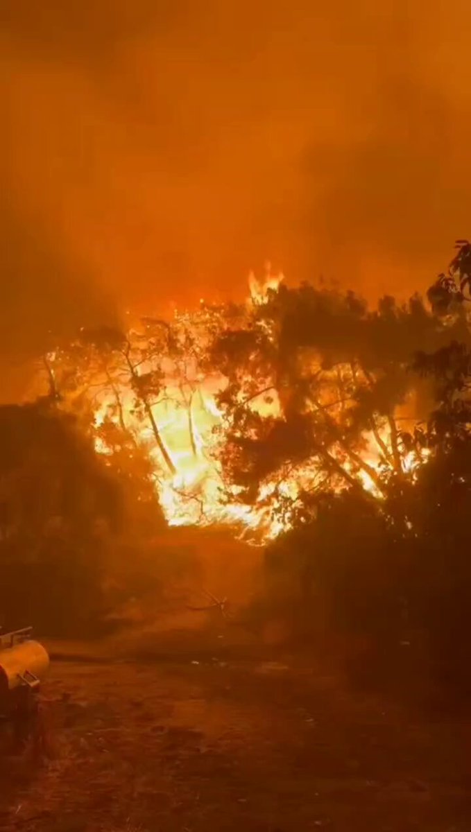 İzmir Foça'daki Orman Yangını Devam Ediyor: Son Durum ve İtfaiye Çalışmaları
