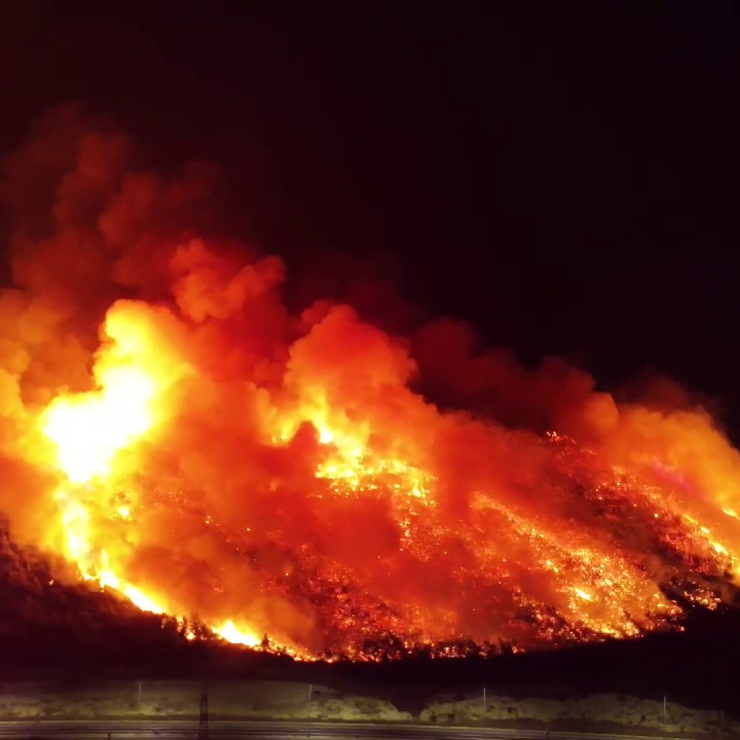 İzmir Aliağa'da Orman Yangınına Neden Olan Şüpheli Tutuklandı