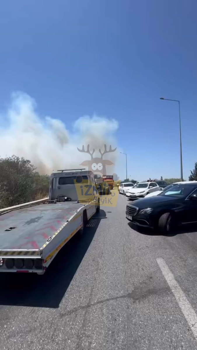 İzmir Bornova'da Yol Kenarında Yangın: Trafik Kilitlendi
