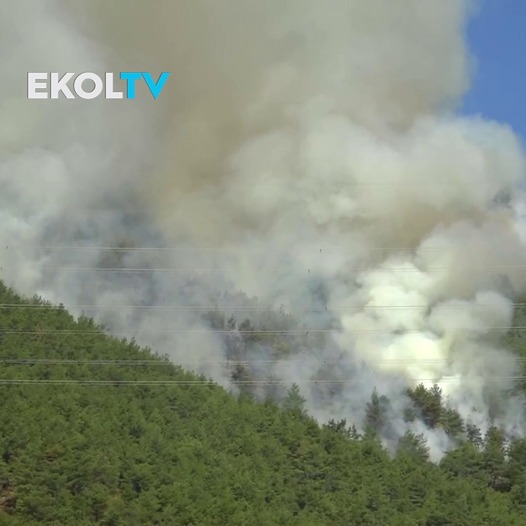 Hatay'da Orman Yangınıyla Mücadele Devam Ediyor: Havadan ve Karadan Söndürme Çalışmaları Sürüyor