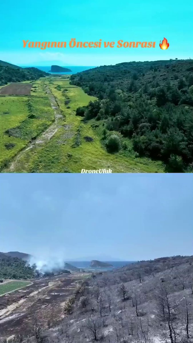 İzmir Seferihisar'da Çıkan Yangın: Öncesi ve Sonrası Detaylar