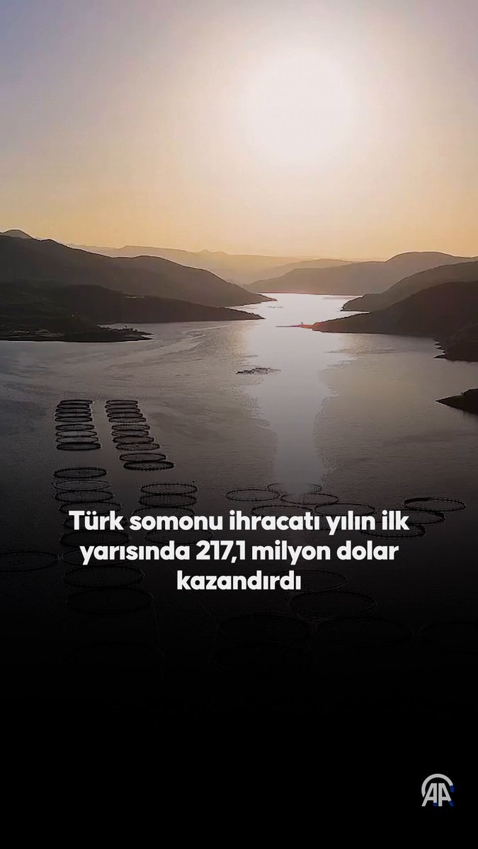 Türk Somonu İhracatı Yılın İlk Yarısında Rekor Gelir Sağladı