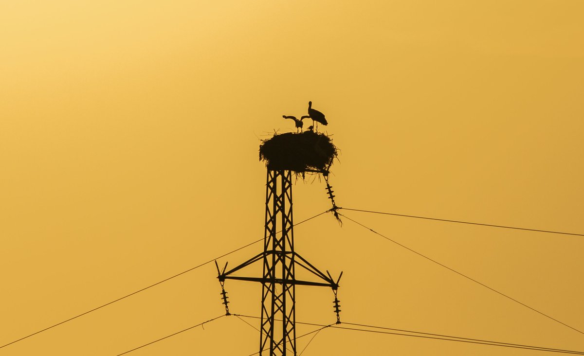 Türkiye'de Elektrik Üretimi ve Tüketimi Dengelendi