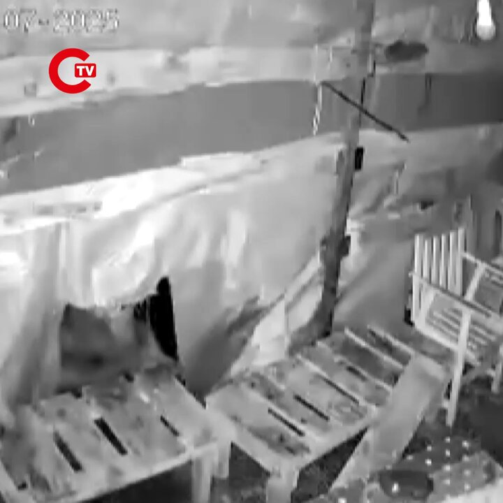 Artvin'de Ayı Orman İşçilerinin Kulübesine Girdi