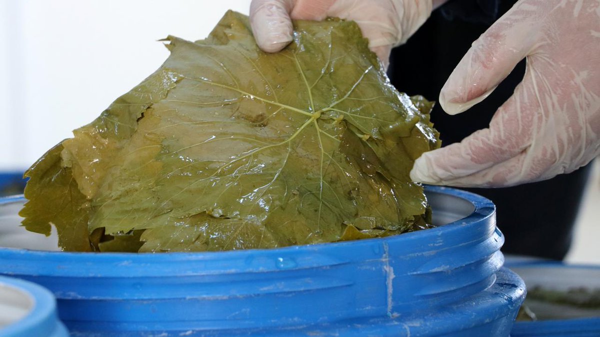 Türkiye'den Almanya'ya İhraç Edilen Asma Yapraklarında Yüksek Pestisit Oranı Tespit Edildi