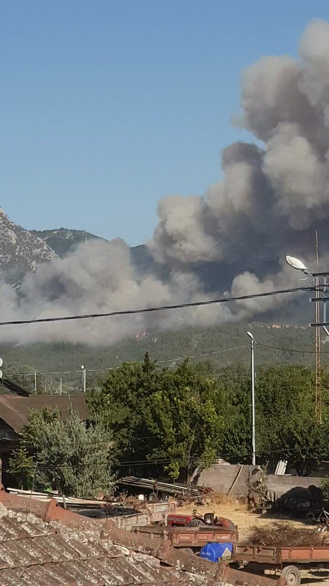Sakarya Geyve'de Orman Yangını: Alevler Kontrol Altına Alınıyor