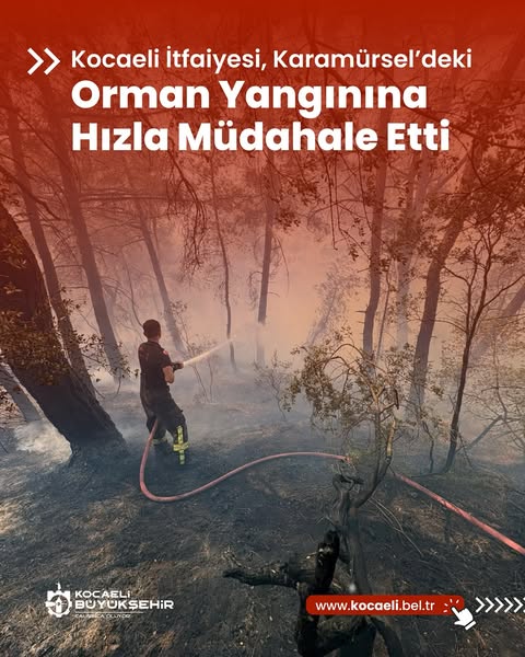 Karamürsel'de Orman Yangınına Hızlı Müdahale: Yangın Kontrol Altına Alındı