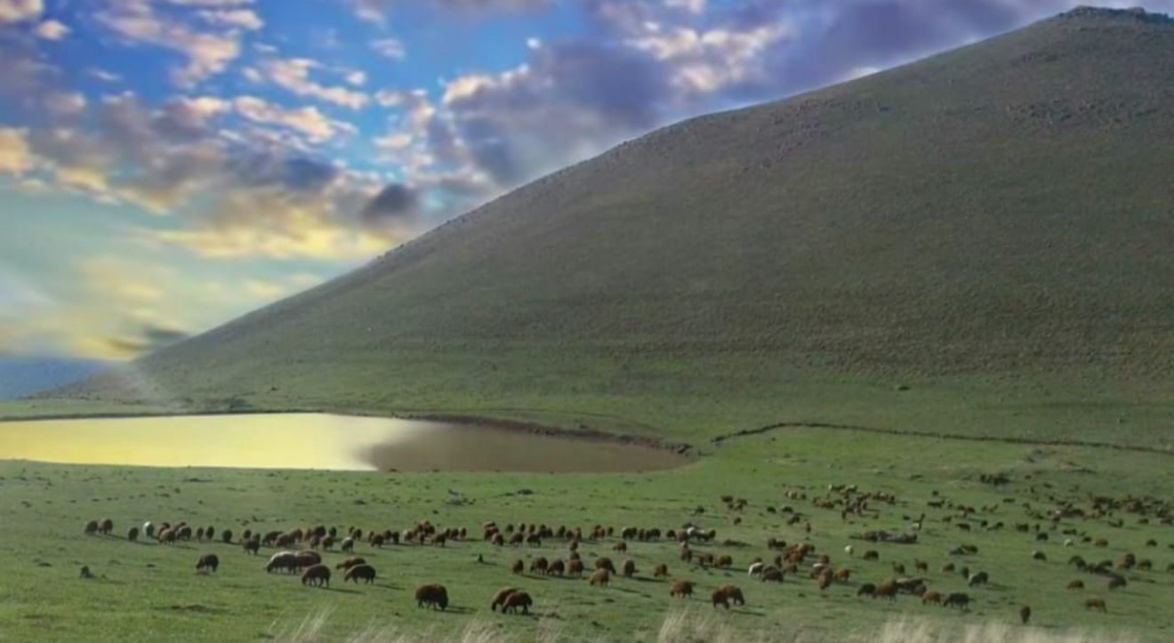 Iğdır’ın Nişankaya Köyünde “Mera Kiralama” İddiası: Muhtar Hakkında Soruşturma Başlatıldı